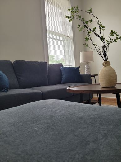 Coming Soon! Sunlit 2BD furnished Apt fully furnished